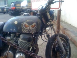 owl moto